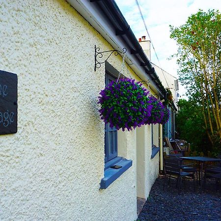 Staycation At Pine Cottage, A Newly Refurbished Holiday Cottage Goodwick Kültér fotó